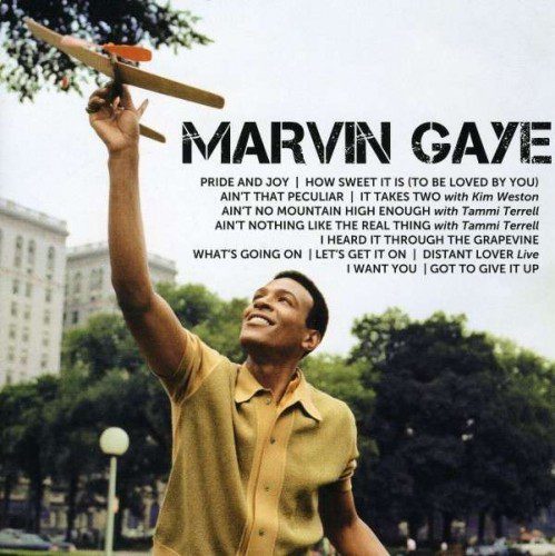 marvin Gaye Icon