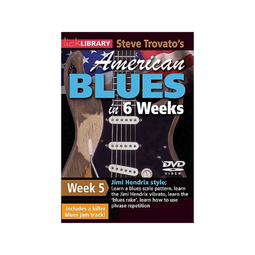 Steve Trovato's American Blues in 6 Weeks Week 5 Lick Library
